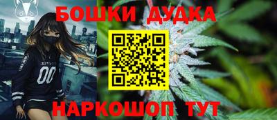 крисы Краснодар
