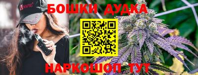 крисы Краснодар